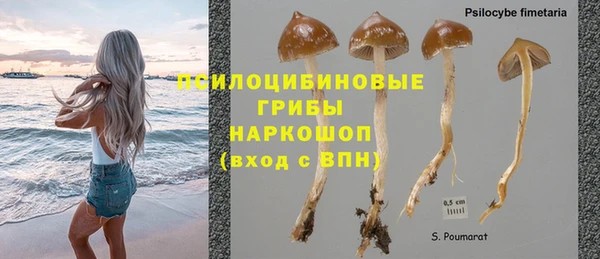 a pvp Балахна