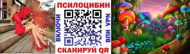 купить наркотик  Топки  Галлюциногенные грибы мухоморы 