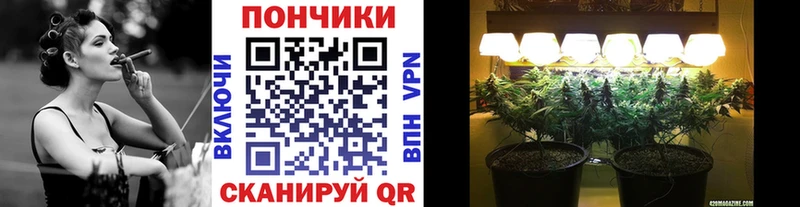 Конопля планчик  Топки 